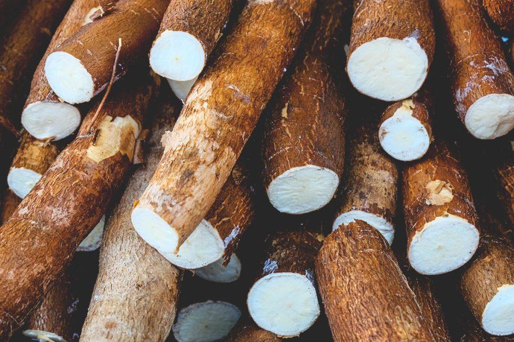 Fresh Cassava